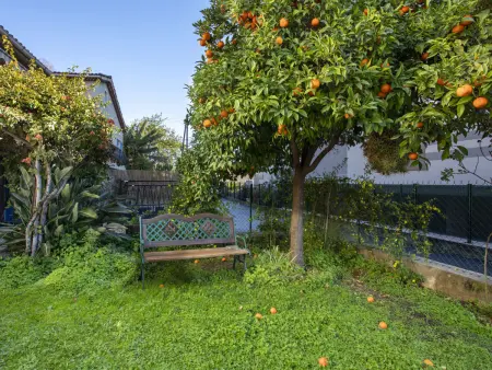Maison Valensole - 3 chambres à 400m de la mer - Photo 18