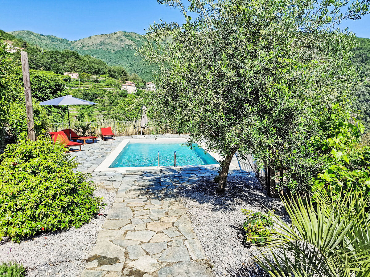 Casa Oreggi – Maison 6 pers. vue montagnes à Tavole - Photo 6
