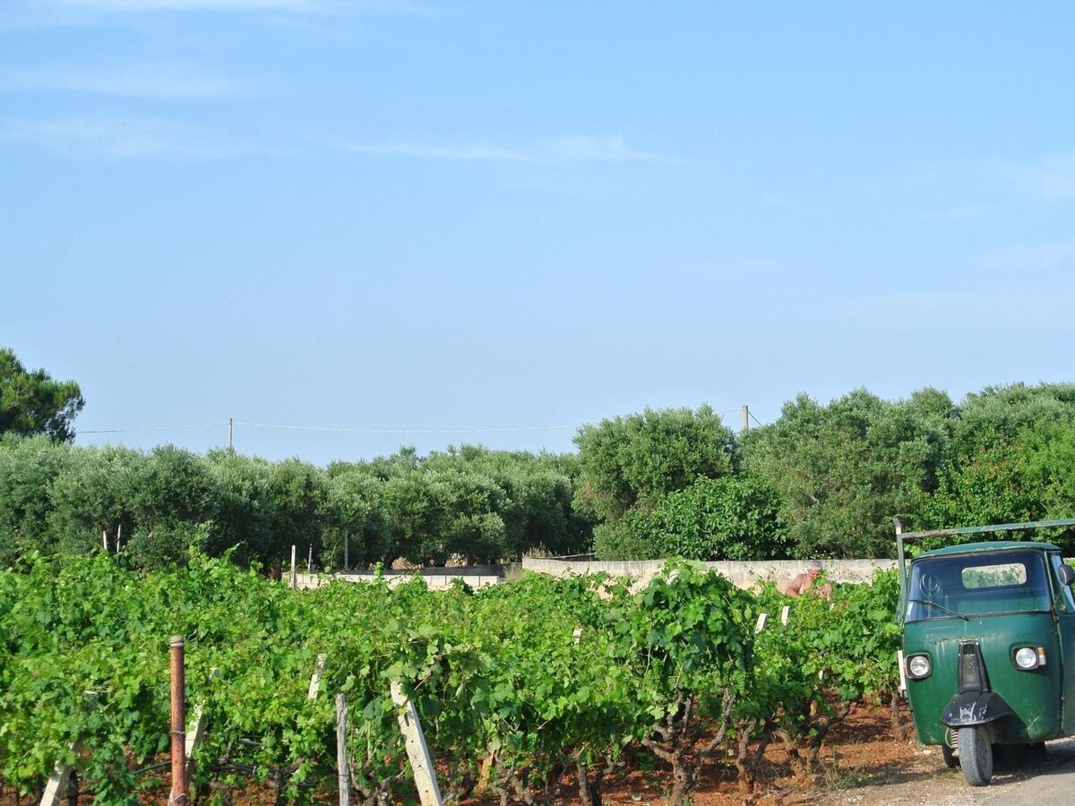 Trullo Villetti Trullissimo à Campomarino - Photo 18