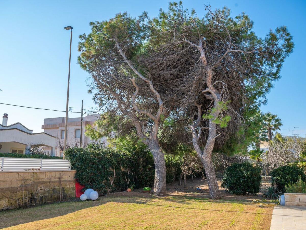 Villetta Pina, maison 8 pers. à 50 m de la plage - Photo 30