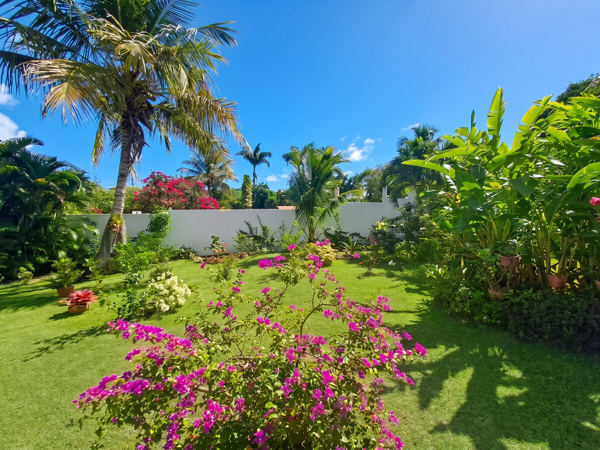 Bungalow 30 m² avec jardin clos et barbecue à Sainte-Anne - Photo 14