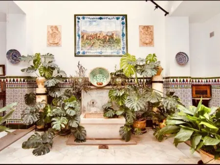 Location appartement à Grenade, Charmant logement XVIIIe siècle à Grenade, parking inclus