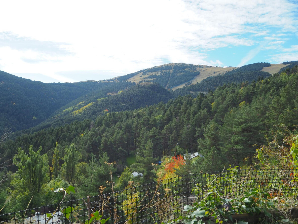 Appart ski La Molina, 2 ch., vue montagne, Netflix - Photo 21