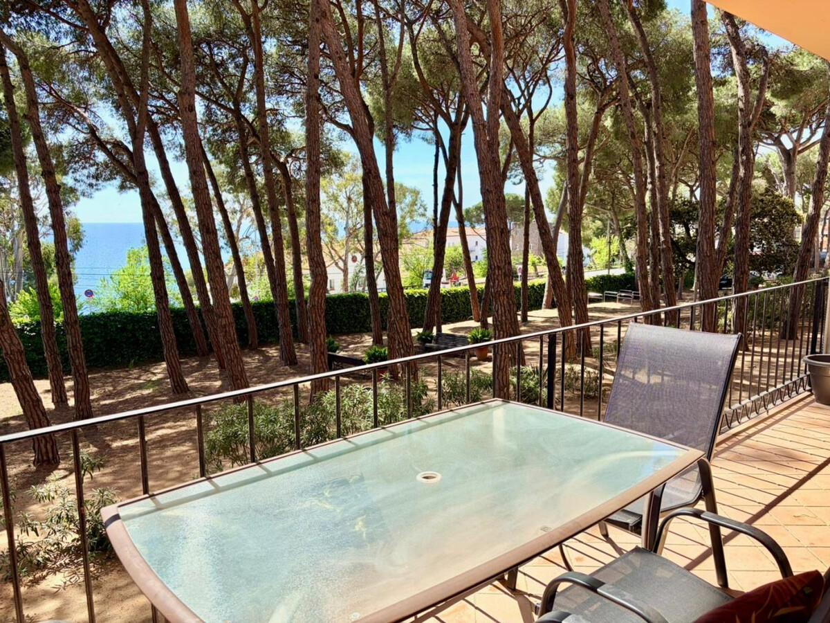 Appartement 4 pers. vue mer et pinède, Sant Antoni - Photo 15