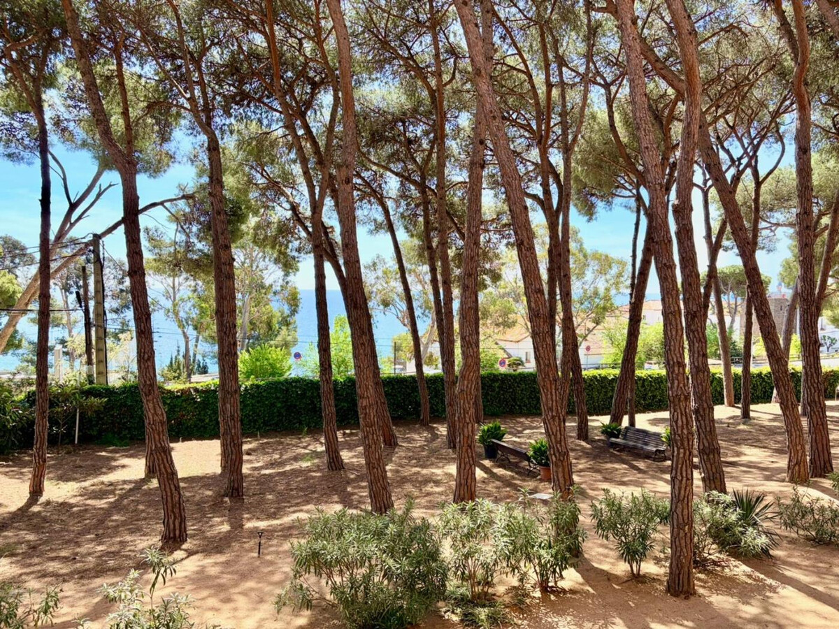 Appartement 4 pers. vue mer et pinède, Sant Antoni - Photo 16