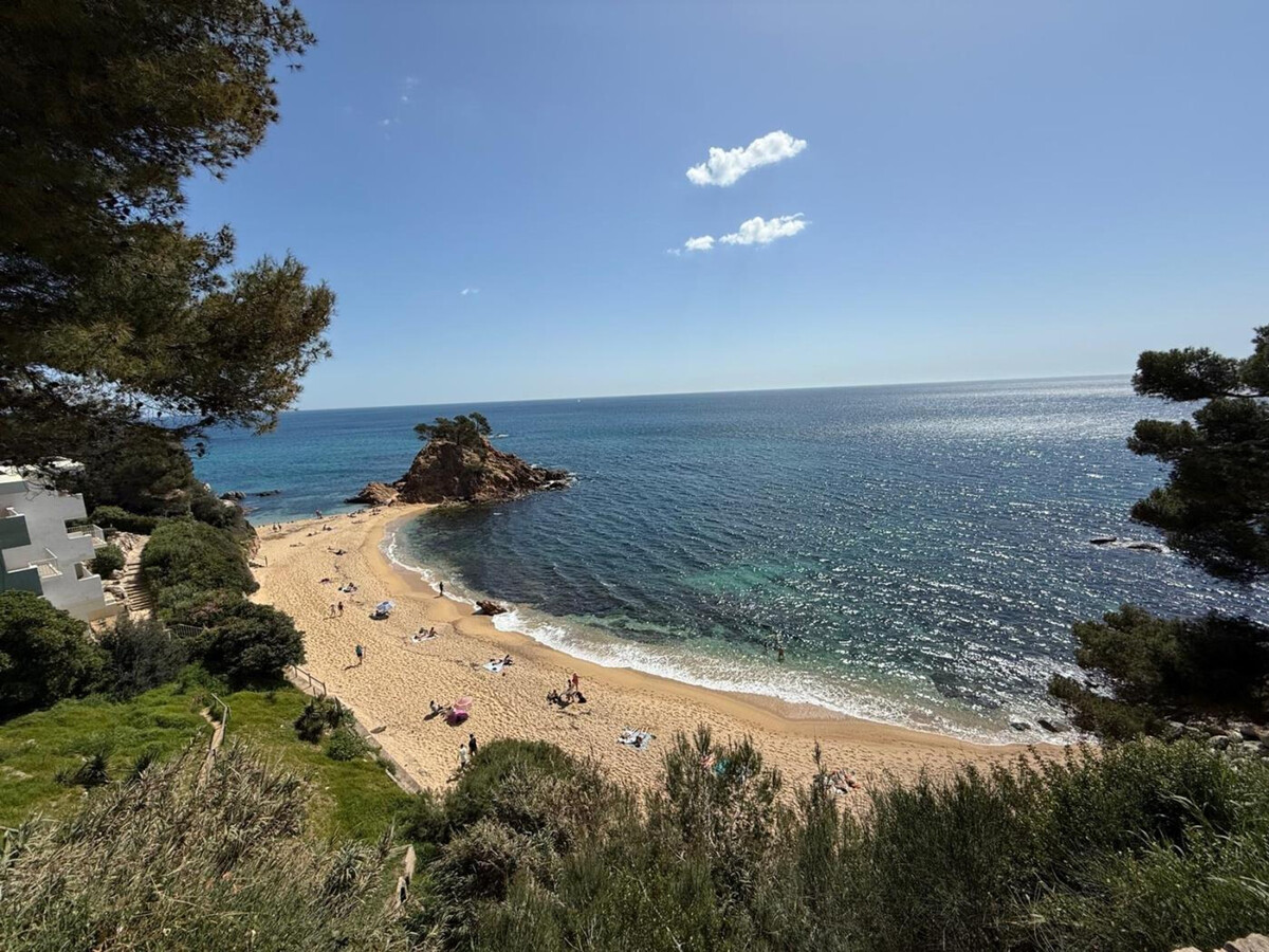Appartement 4 pers. vue mer et pinède, Sant Antoni - Photo 17