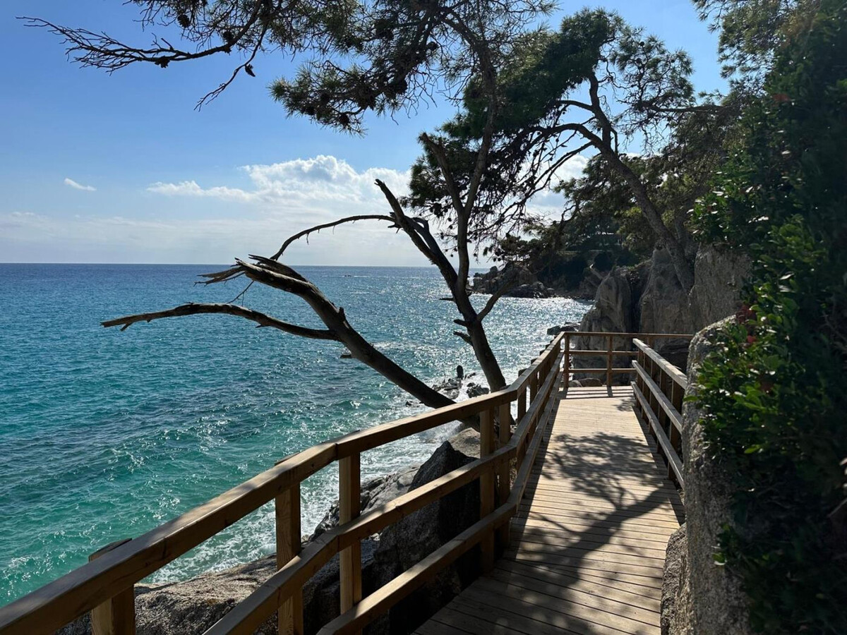 Appartement 4 pers. vue mer et pinède, Sant Antoni - Photo 18