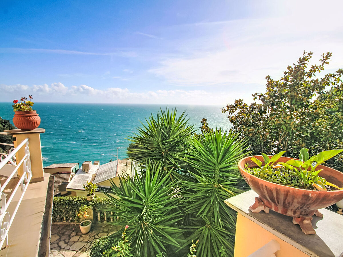 Laccadiva – Studio rénové vue mer à Zoagli - Photo 22