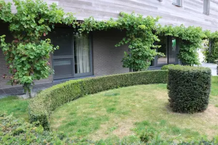 Bloesemhof – Maison 24 personnes, ancienne ferme du Westhoek : photo 19