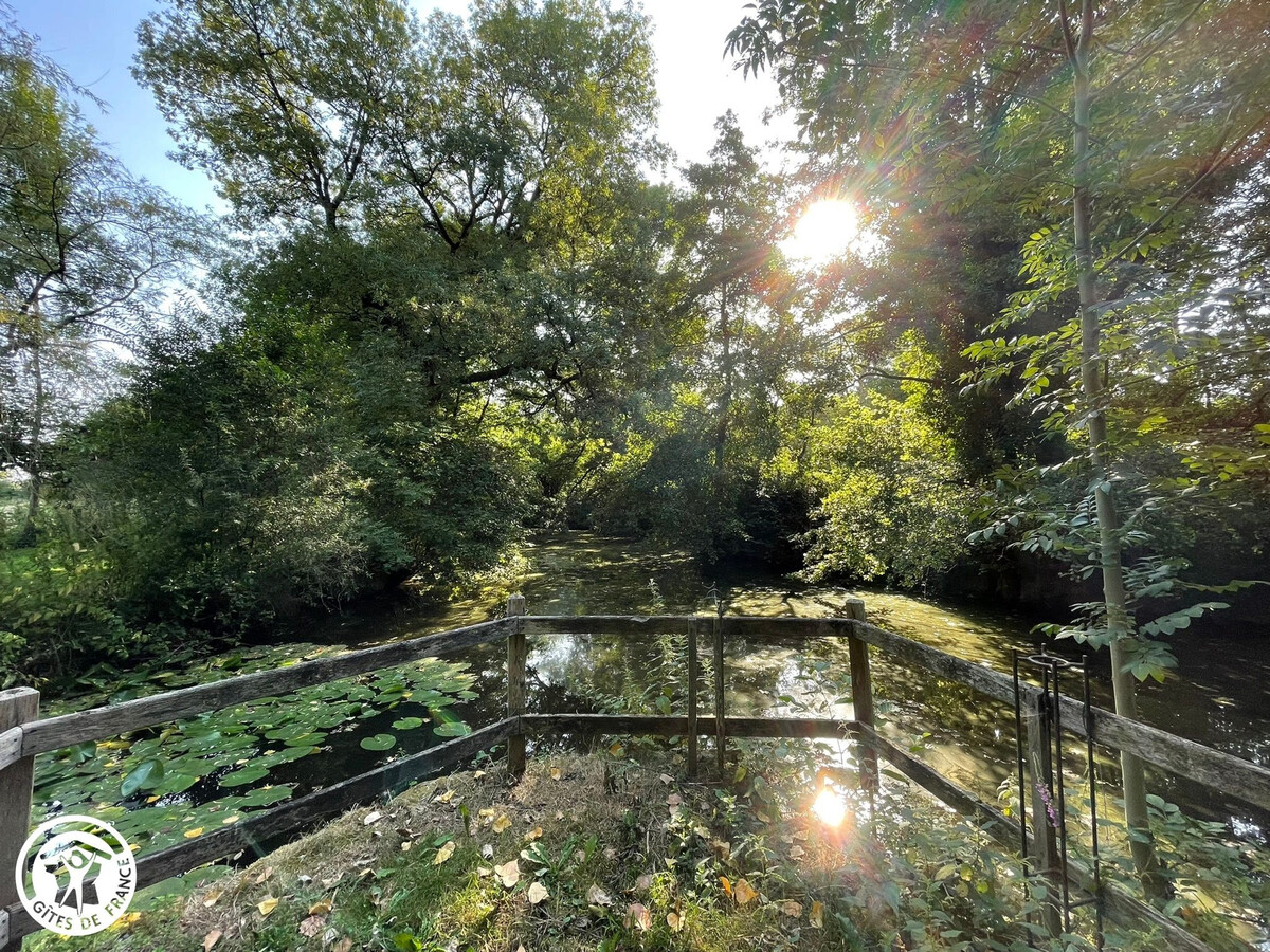 Ancien Moulin en Bordure de Rivière, Saint-Vincent-Sterlanges - Photo 19