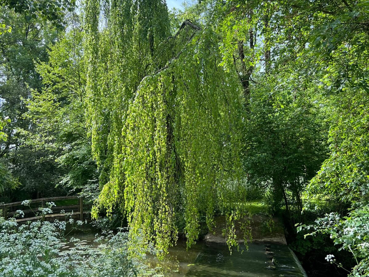 Ancien Moulin en Bordure de Rivière, Saint-Vincent-Sterlanges - Photo 26