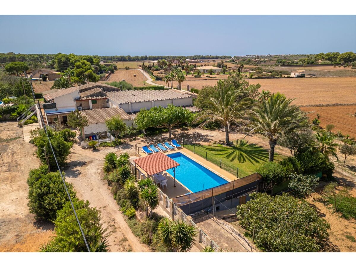 Cas Forner – Maison 8 pers. piscine à Sa Rápita - Photo 3