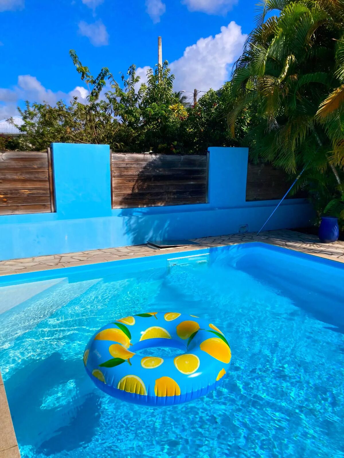 Villa 4 chambres avec piscine privée à Ducos - Photo 15