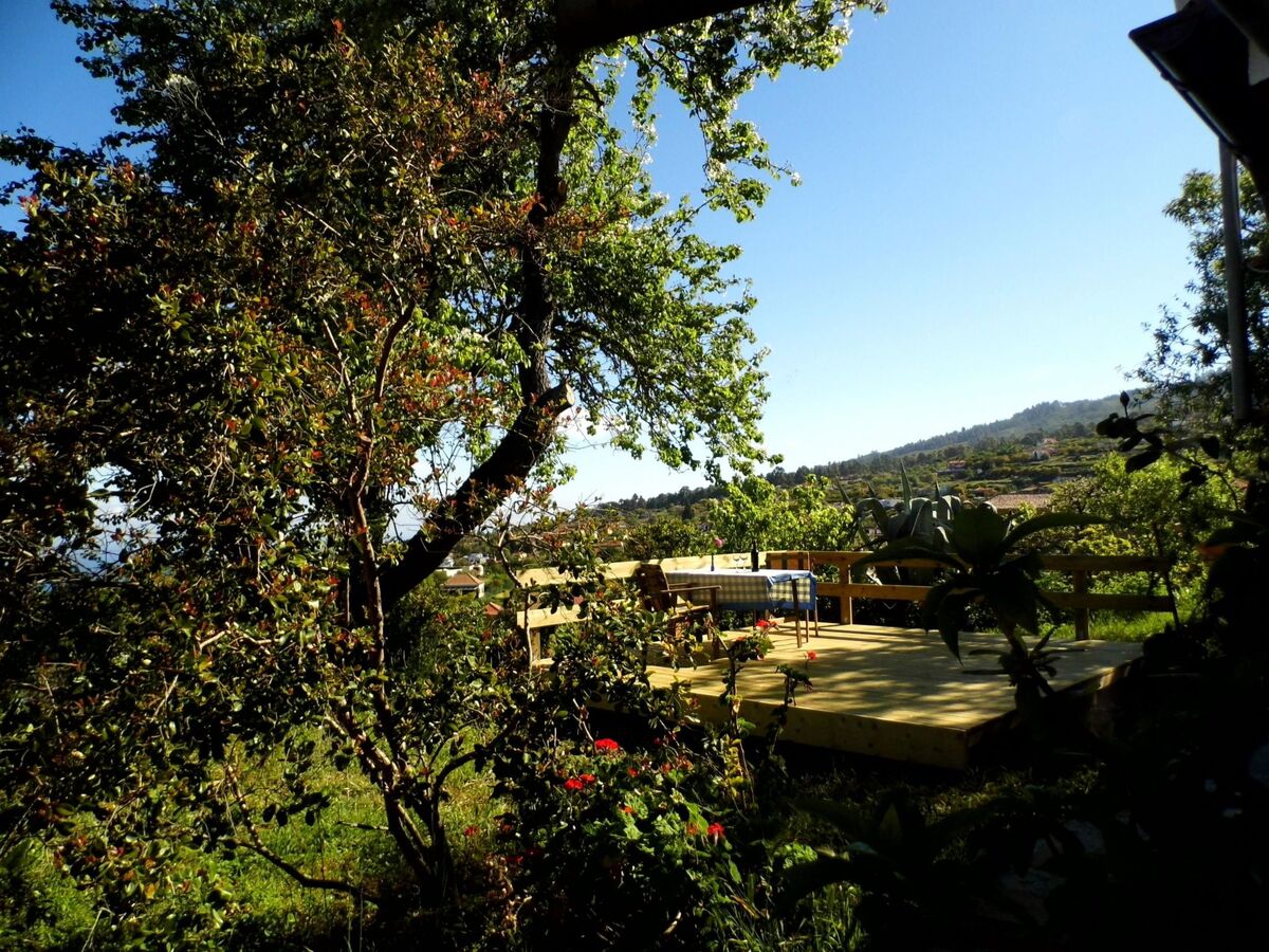 Casamarena, maison 4 pers. à Puntagorda avec verger privé - Photo 25