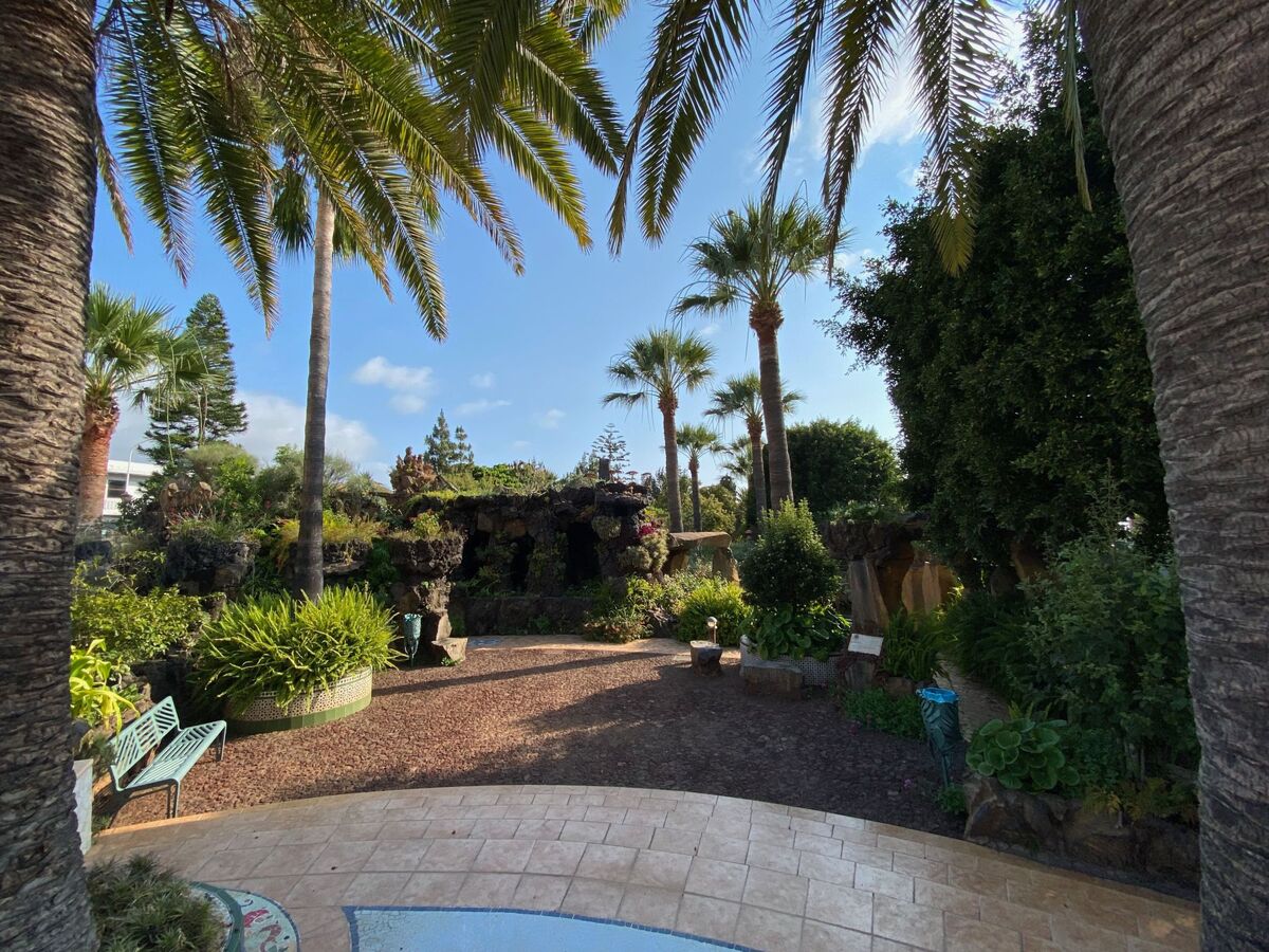 Casamarena, maison 4 pers. à Puntagorda avec verger privé - Photo 32