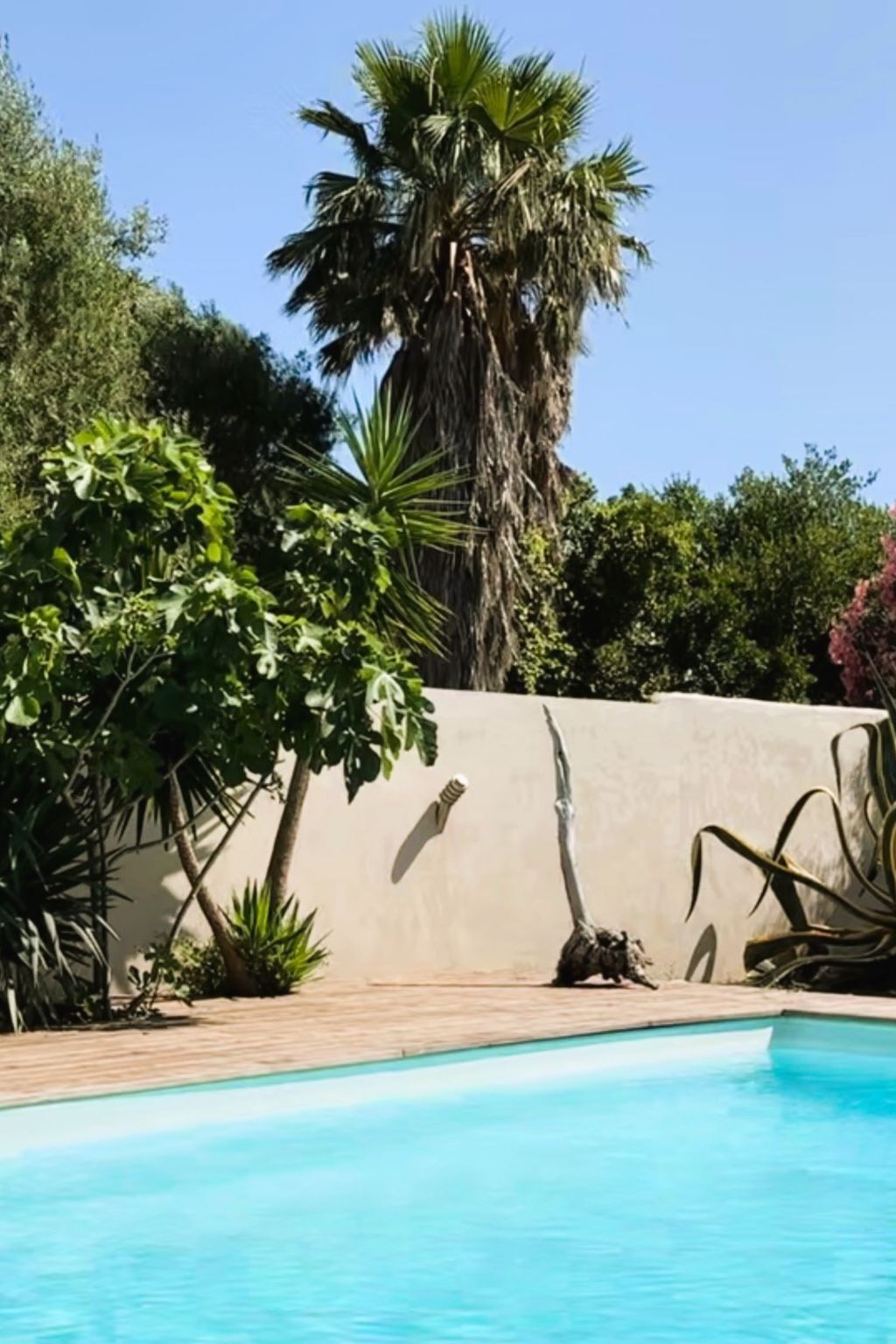 Villa Tarabucetta, 8 pers., piscine privée à Figari - Photo 26