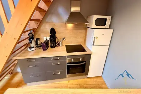 La Grange Borel, chalet 12 pers à Murat-le-Quaire : photo 4