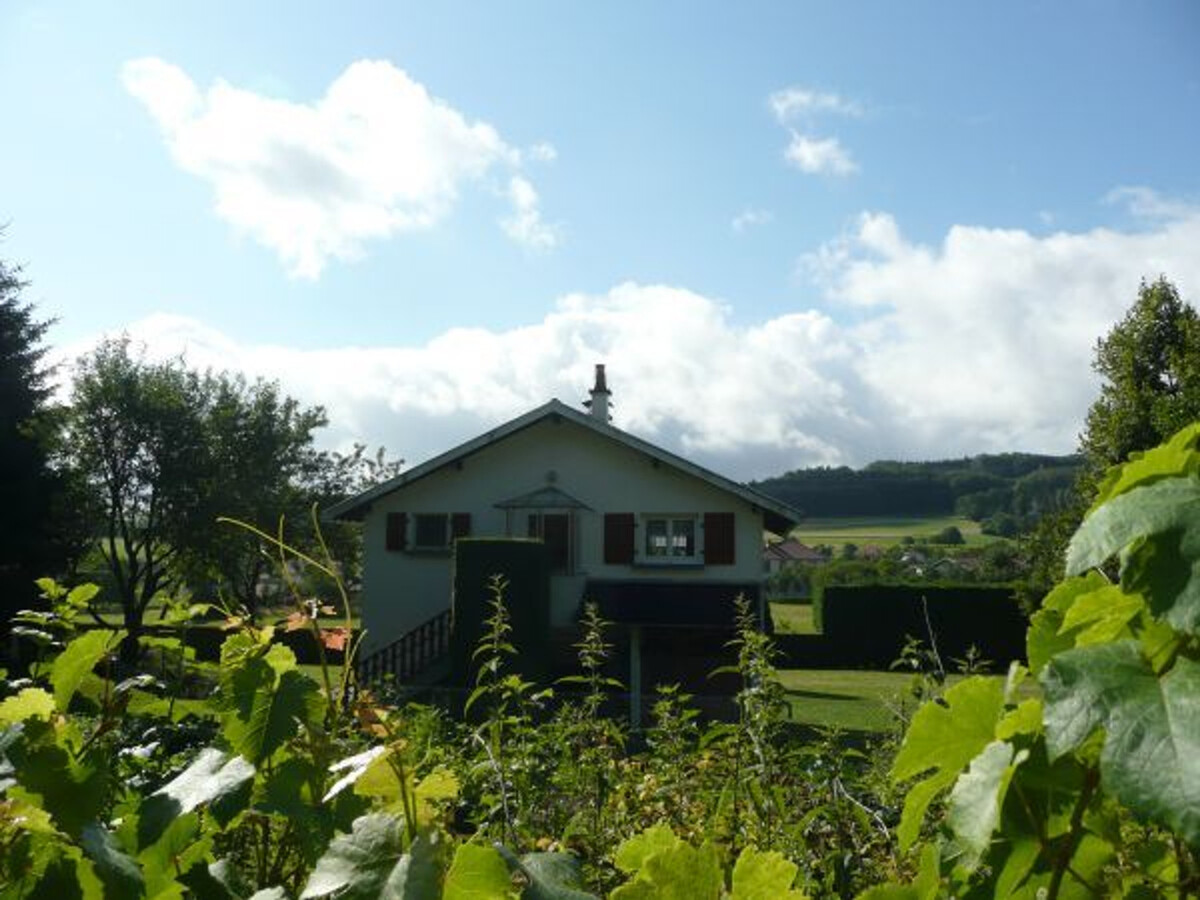 Gîte familial Jussarupt, grand jardin et jeux enfants - Photo 2