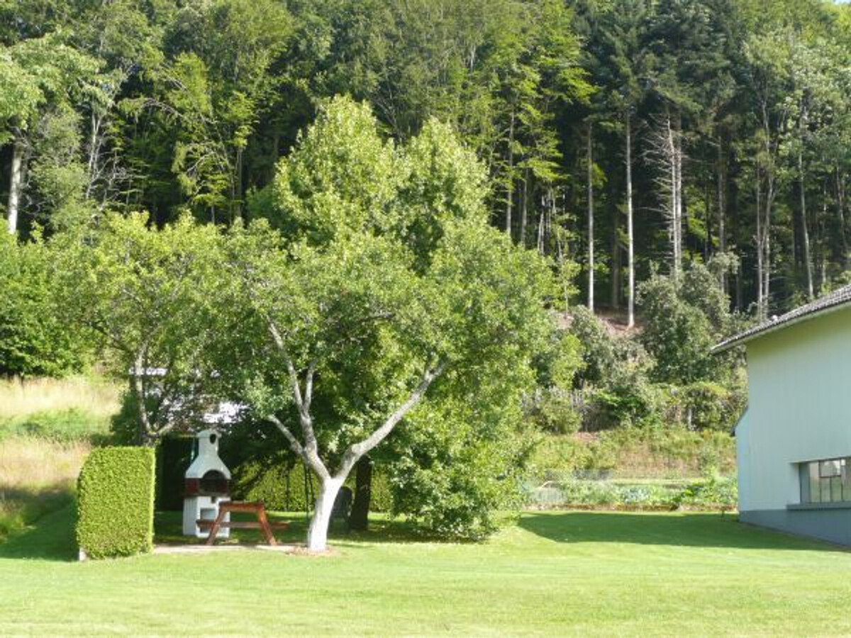 Gîte familial Jussarupt, grand jardin et jeux enfants - Photo 12