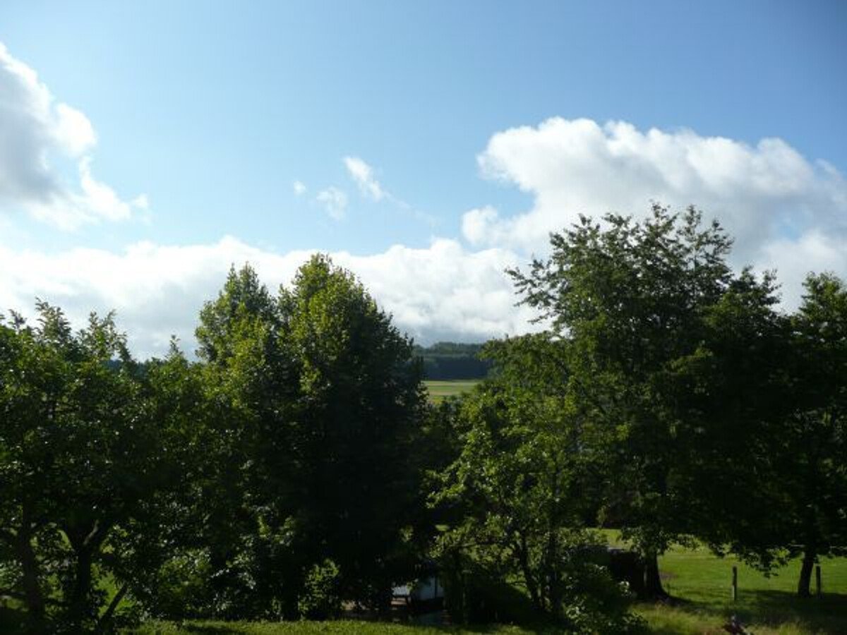 Gîte familial Jussarupt, grand jardin et jeux enfants - Photo 21