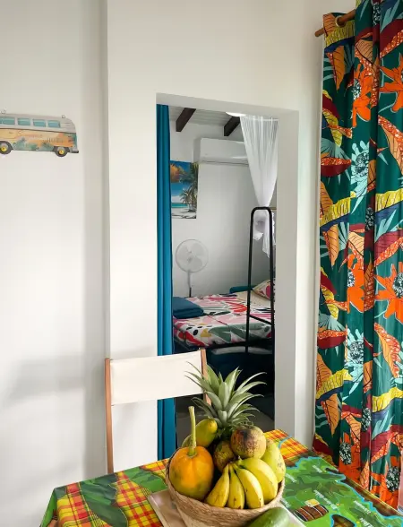 Studio 20 m² avec jacuzzi et terrasse vue montagne à Rivière-Pilote : photo 6