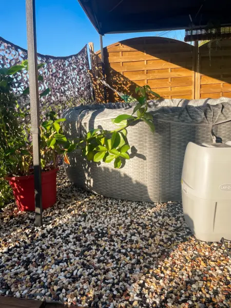 Studio 20 m² avec jacuzzi et terrasse vue montagne à Rivière-Pilote : photo 8
