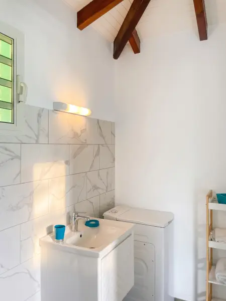 Studio 20 m² avec jacuzzi et terrasse vue montagne à Rivière-Pilote : photo 10