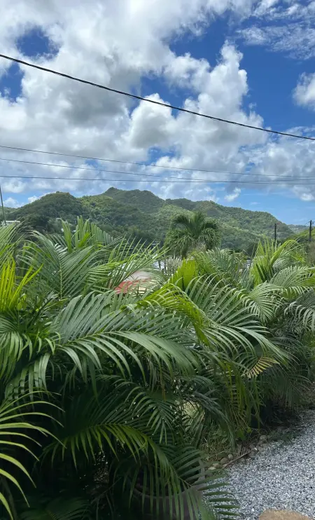 Studio 20 m² avec jacuzzi et terrasse vue montagne à Rivière-Pilote : photo 13