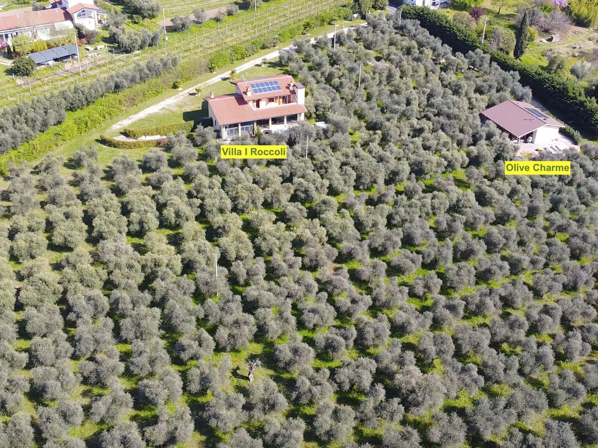 Villa dans un olivaie spectaculaire à Bardolino - Photo 11