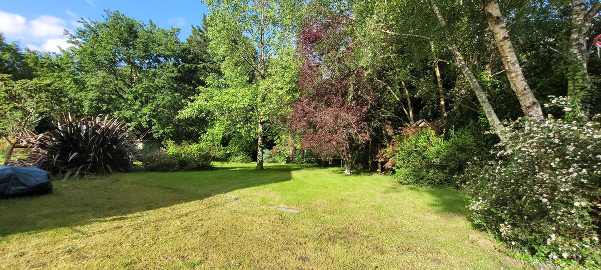 Maison 4 chambres Sainte-Marie, jardin 4000 m² avec GR 39 - Photo 55