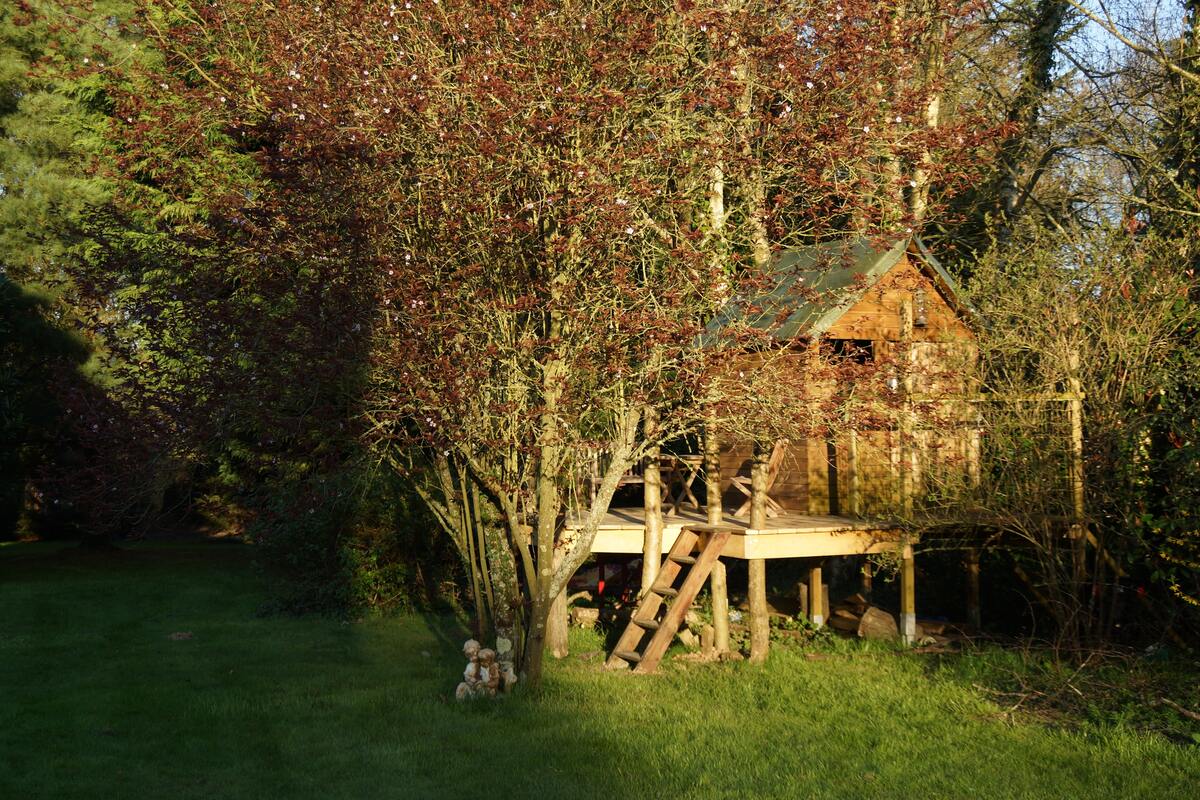 Maison 4 chambres Sainte-Marie, jardin 4000 m² avec GR 39 - Photo 57