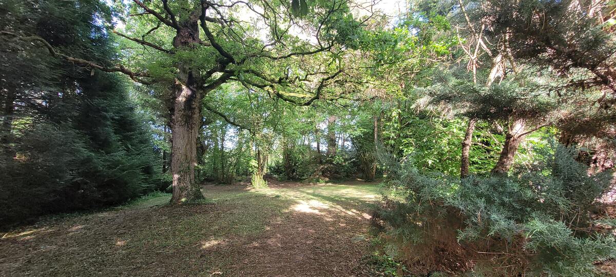 Maison 4 chambres Sainte-Marie, jardin 4000 m² avec GR 39 - Photo 63