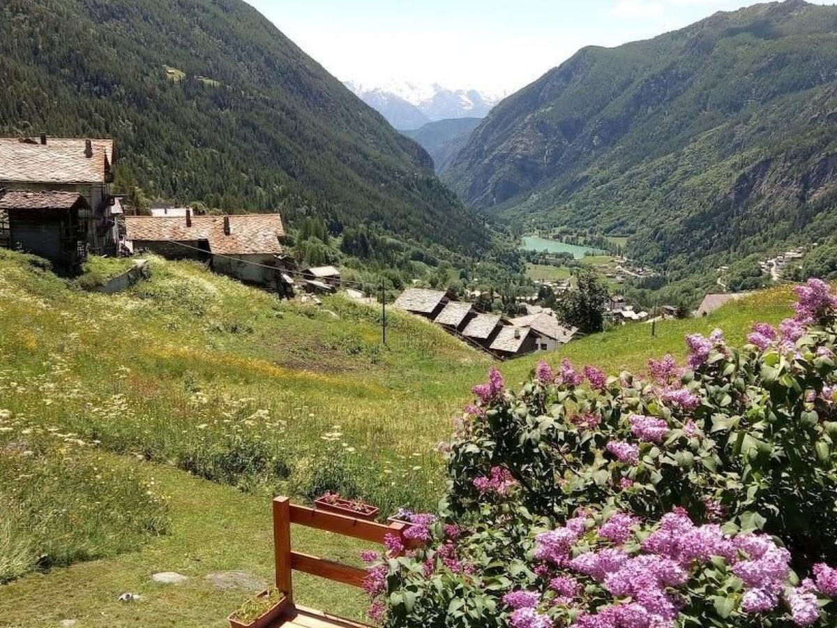 Lo Chalet - Appartement 3 pers. vue Cervin à Valtournenche - Photo 6