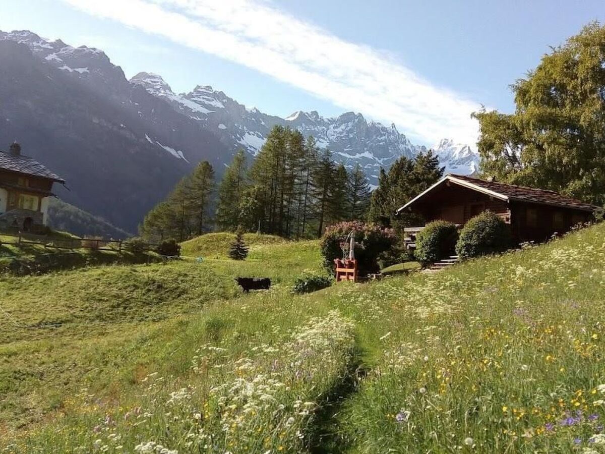 Lo Chalet - Appartement 3 pers. vue Cervin à Valtournenche - Photo 7
