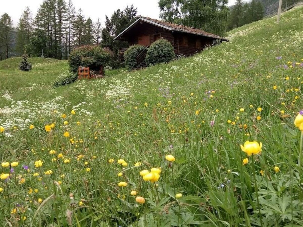 Lo Chalet - Appartement 3 pers. vue Cervin à Valtournenche - Photo 8