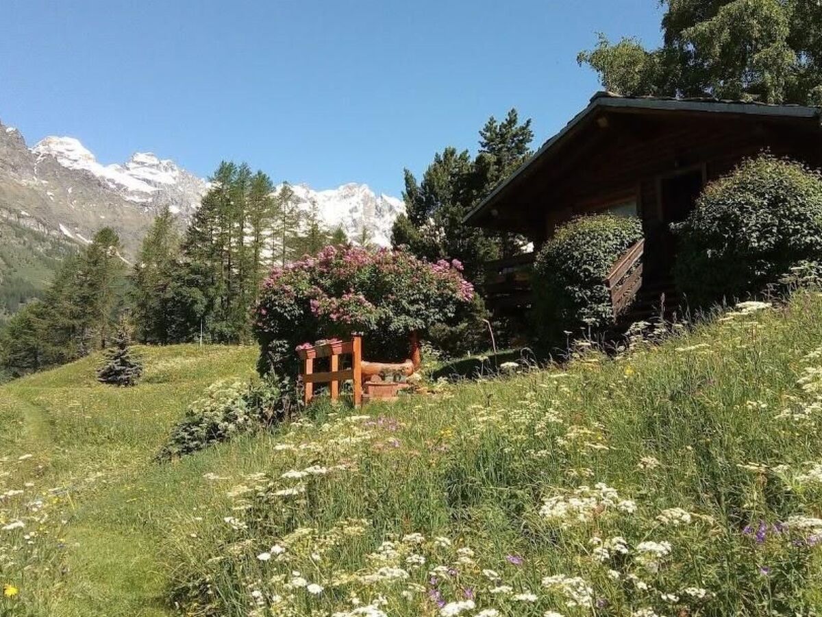 Lo Chalet - Appartement 3 pers. vue Cervin à Valtournenche - Photo 33