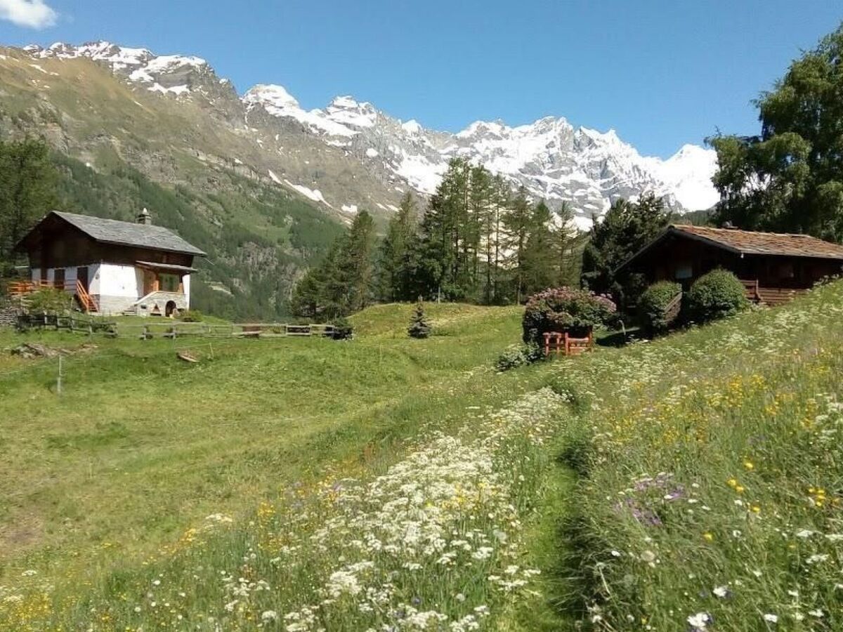 Lo Chalet - Appartement 3 pers. vue Cervin à Valtournenche - Photo 34
