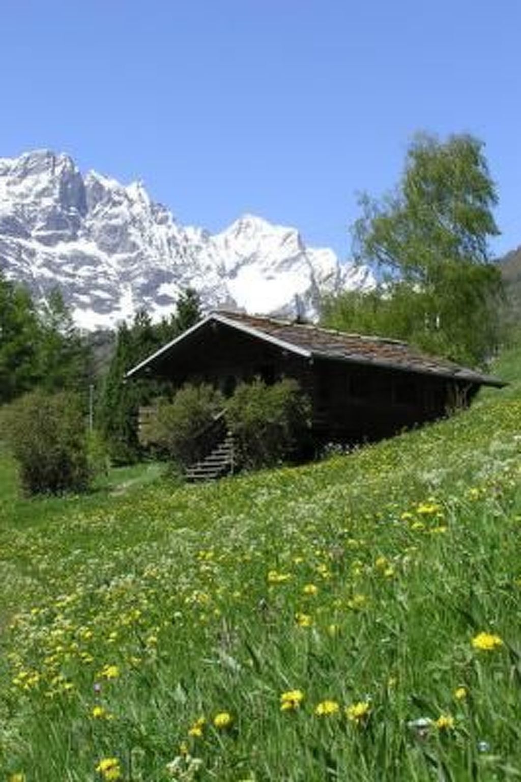 Lo Chalet - Appartement 3 pers. vue Cervin à Valtournenche - Photo 38