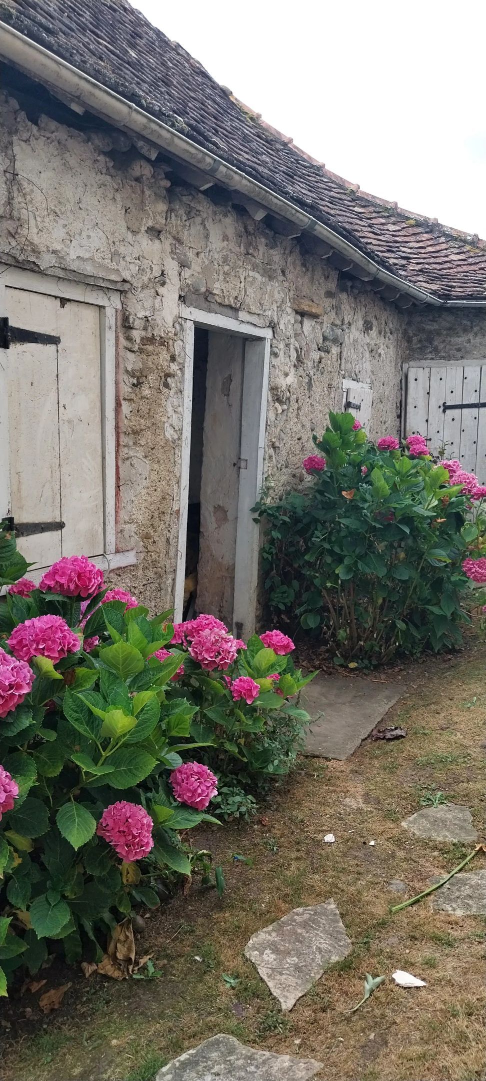 Ancienne ferme béarnaise avec grand jardin aménagé - Photo 15