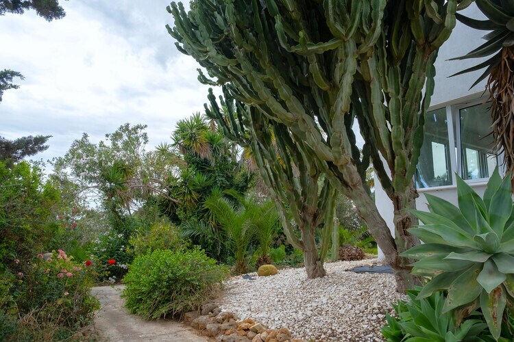 Villa Malvarosa à Mazara del Vallo, 500 m de la plage - Photo 19