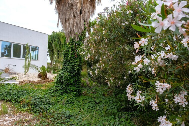 Villa Malvarosa à Mazara del Vallo, 500 m de la plage - Photo 20
