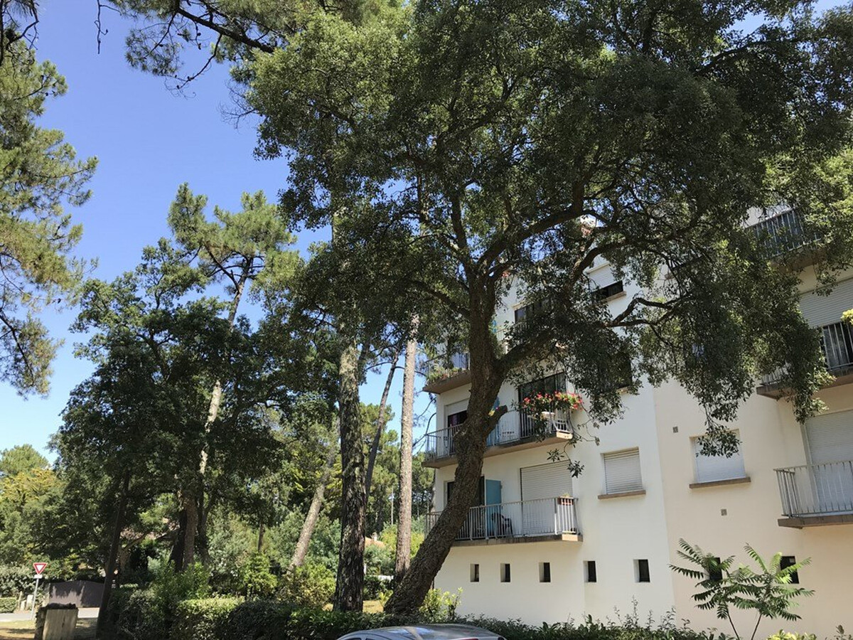 Appartement 41m² avec balcon à Seignosse - Photo 9