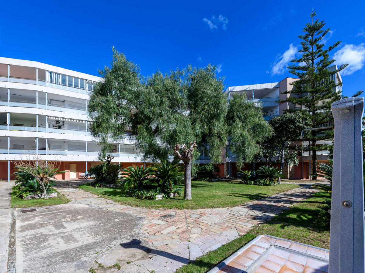 Appartement Manacor, 3 chambres à 650 m de la plage - Photo 1