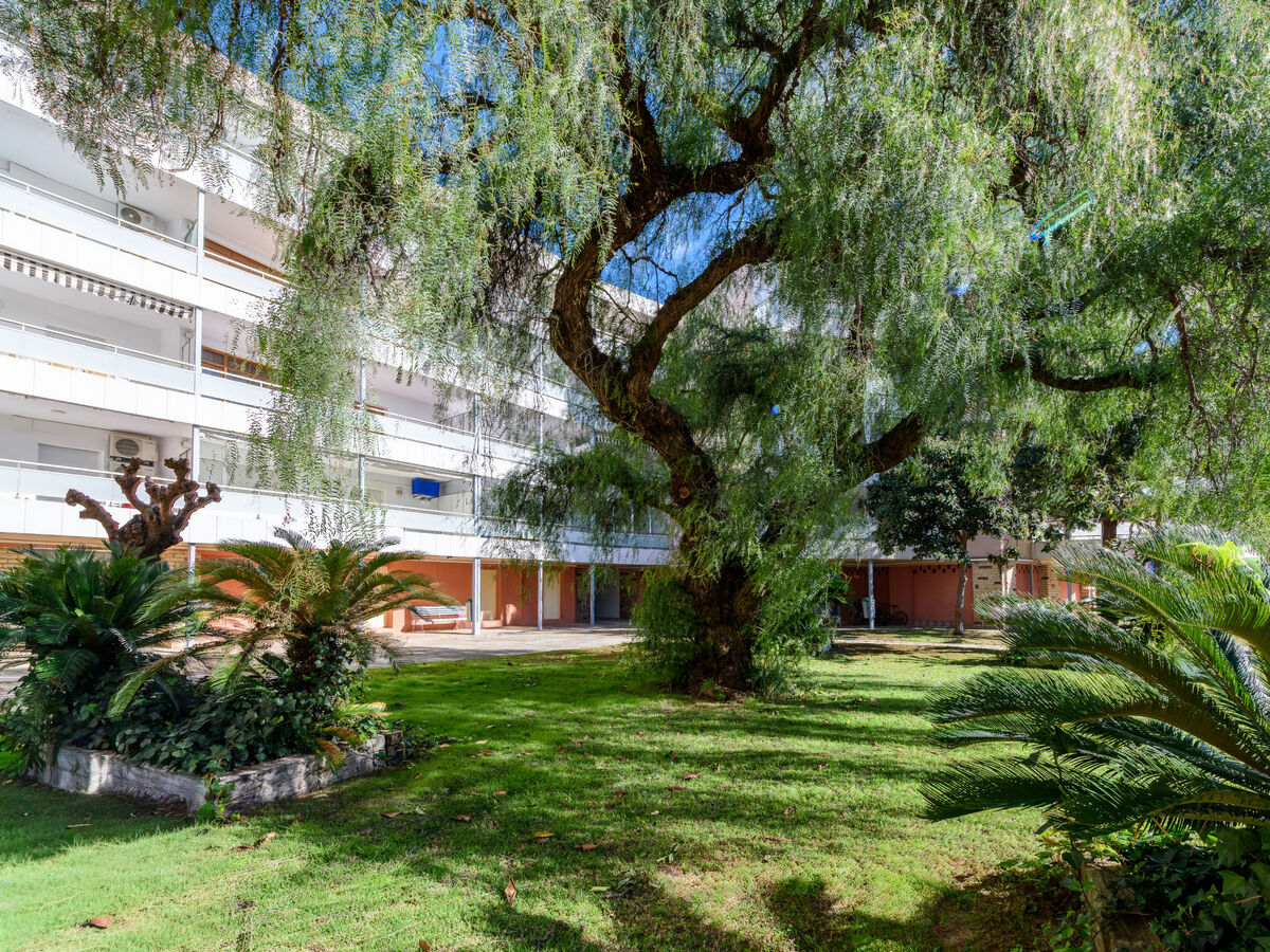 Appartement Manacor, 3 chambres à 650 m de la plage - Photo 21