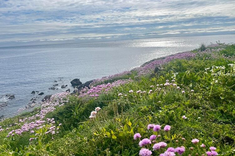 Maison Le Conquet, 700 m de la plage des Blancs Sablons - Photo 21