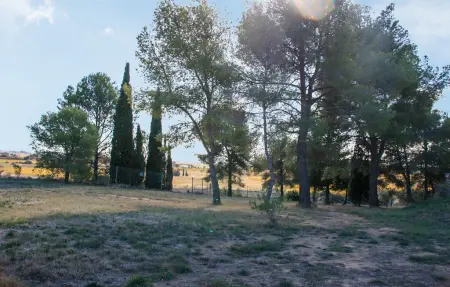 Maison 18ème siècle avec piscine privée à Rieux-Minervois : photo 17
