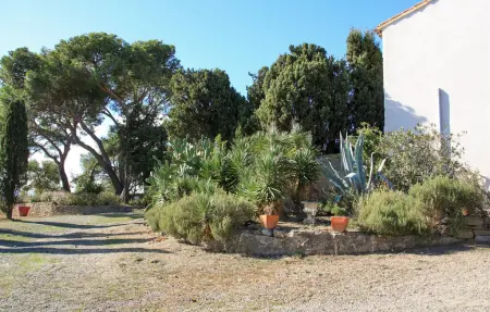 Maison 18ème siècle avec piscine privée à Rieux-Minervois : photo 18