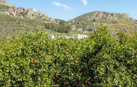 La Casa Grande, Maison 16 personnes à Malaga - Photo 17