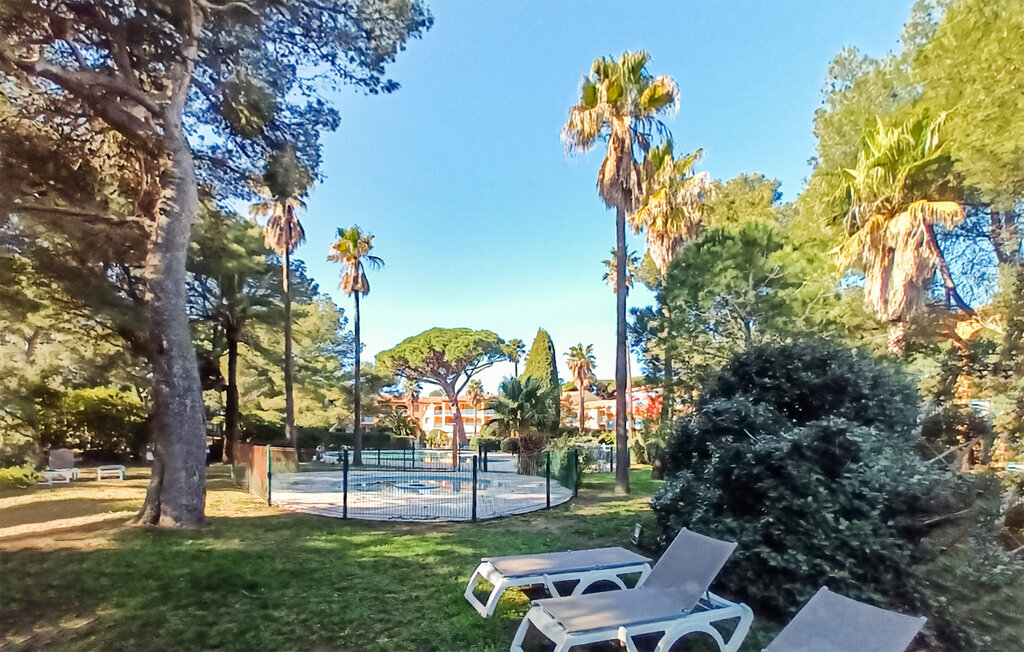Appartement 1 chambre avec piscine chauffée à Hyères - Photo 3
