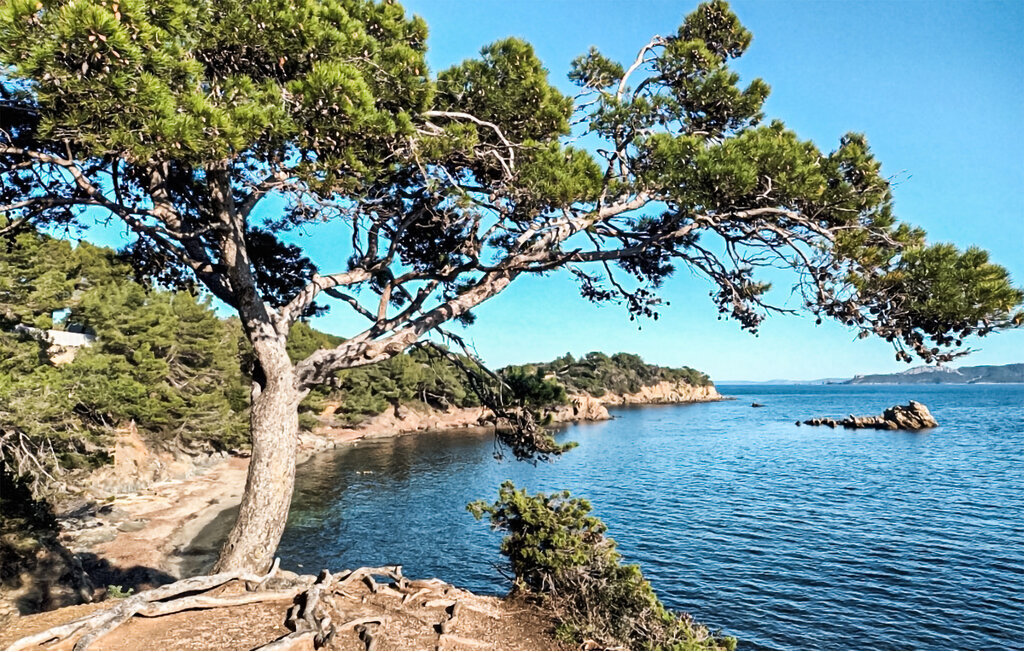 Appartement 1 chambre avec piscine chauffée à Hyères - Photo 15